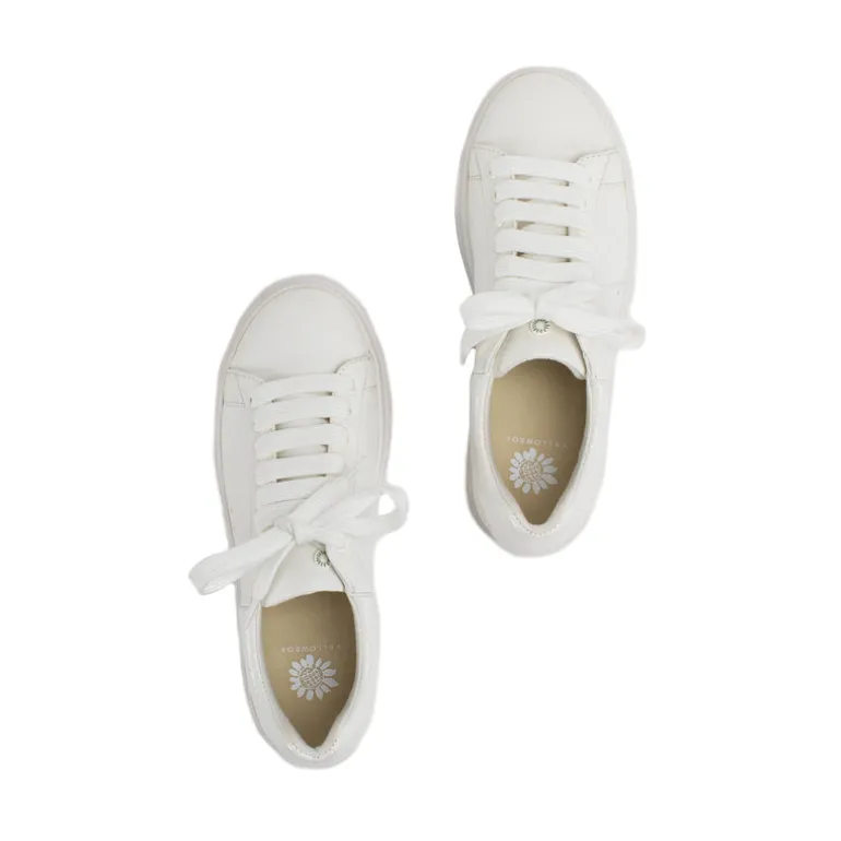 Evodia Lace-up Sneaker