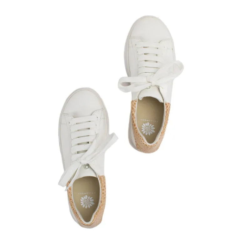 Evodia Lace-up Sneaker
