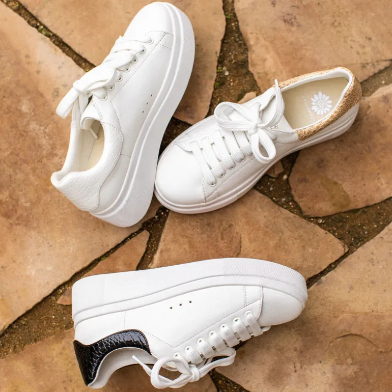 Evodia Lace-up Sneaker