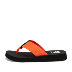 Frizzle Flip Flop