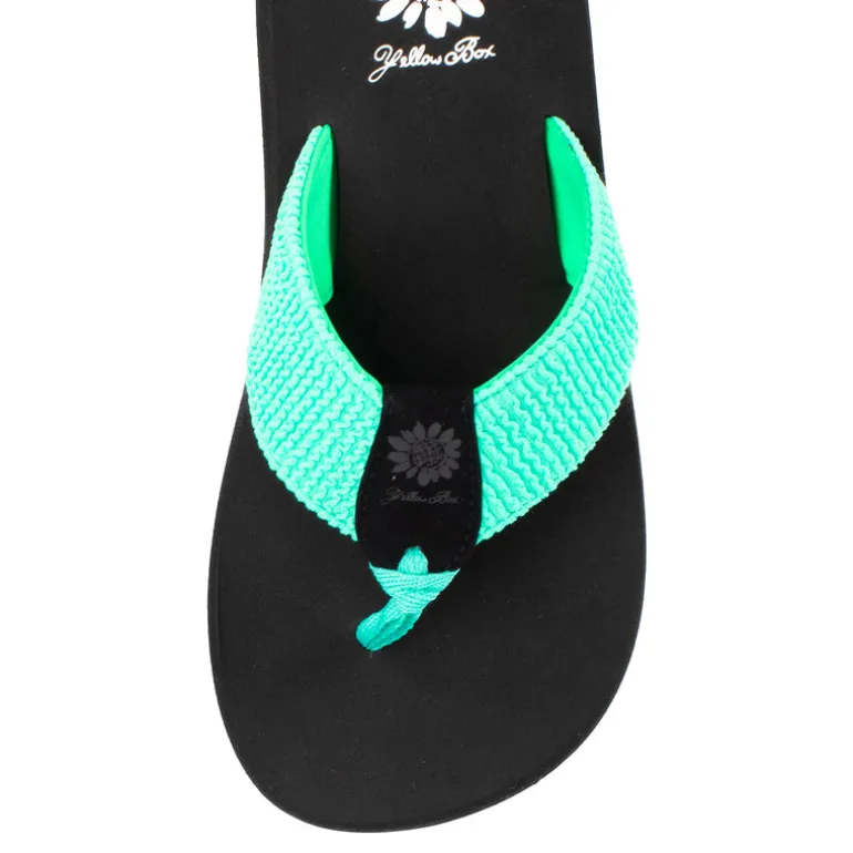 Frizzle Flip Flop