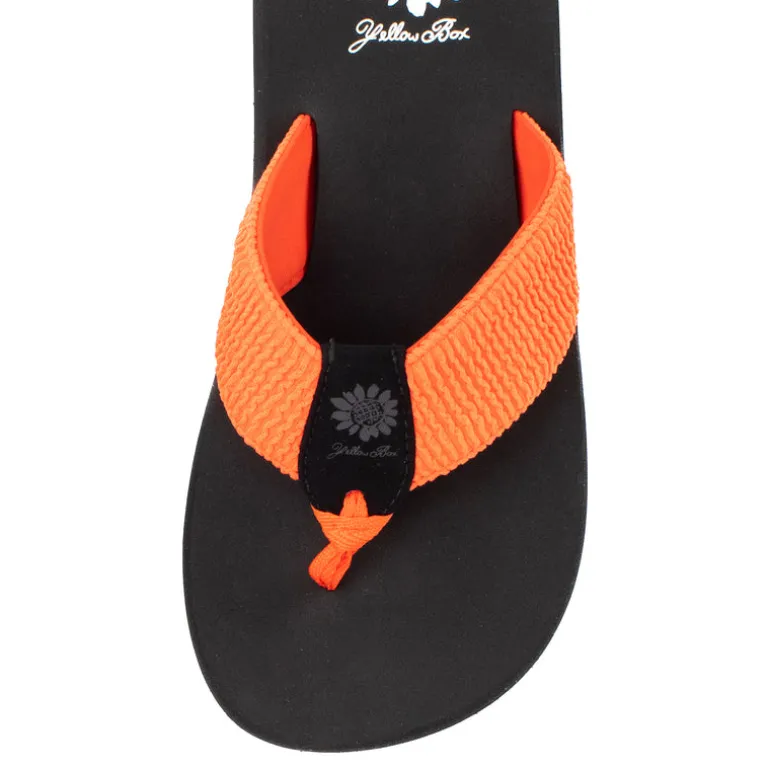 Frizzle Flip Flop