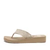 Jasty Flip Flop Sandal