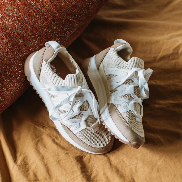 Rocco Knit Trainer