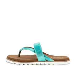 Shayne Sandal