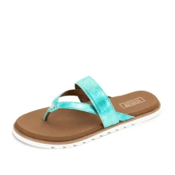 Shayne Sandal