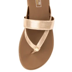 Shayne Sandal