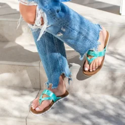 Shayne Sandal