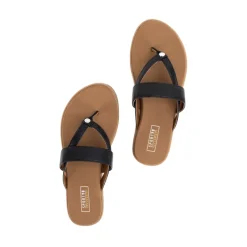 Shayne Sandal